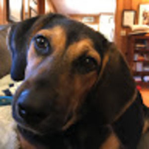 Meet your Posher, Ella bess